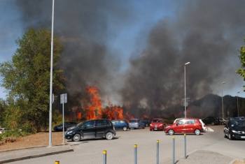 <br/><b><i><font color='#000000'>L'incendio nei pressi del parcheggio del Silvestrini</font></i></b>